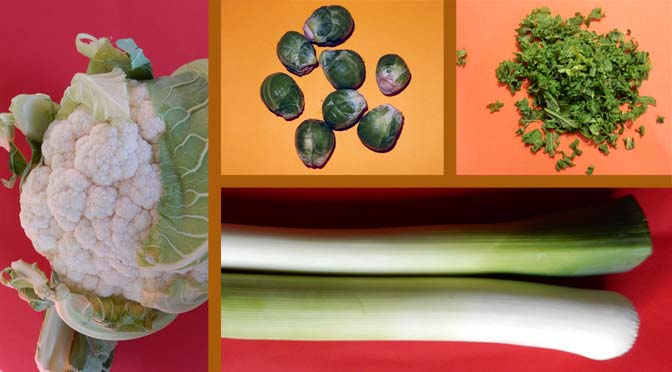 Karakteriseren Roestig Aan boord Seizoensgroenten uit Nederland: groente en fruit in januari ⋆ Eigenwijs Blij