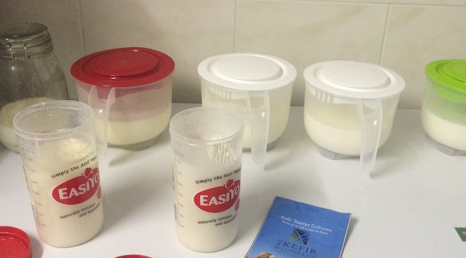 Kefir, het yoghurtplantje als gezondheidsdrankje is terug!