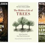 10 opmerkelijke dingen die ik leerde van “Het verborgen leven van bomen” van Peter Wohlleben