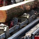 Hoe duurzaam is hout? Kanttekeningen en overwegingen voor de toekomst
