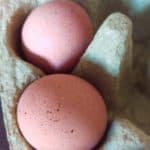 Eieren invriezen: kun je ei bewaren in de vriezer?