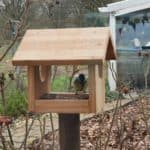 Stappenplan: Zelf een voederhuisje voor vogels maken (met kinderen)
